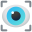 Vision Icon